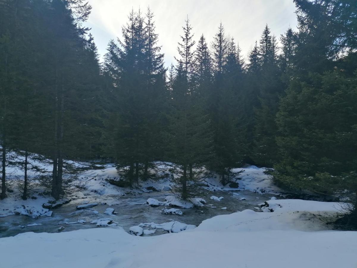 Ferienwohnungen Unterangerhof Quinzo Exteriör bild